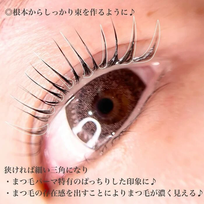 画像337