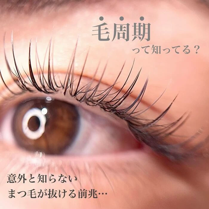 画像365