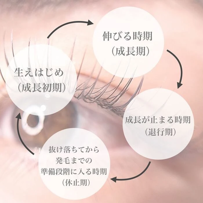 画像366
