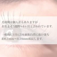 画像367