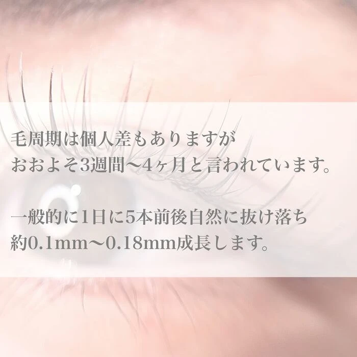 画像367