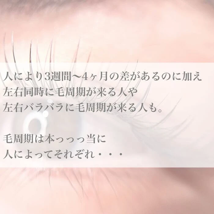 画像369