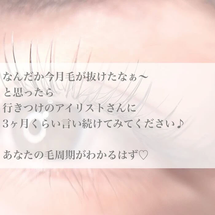画像372