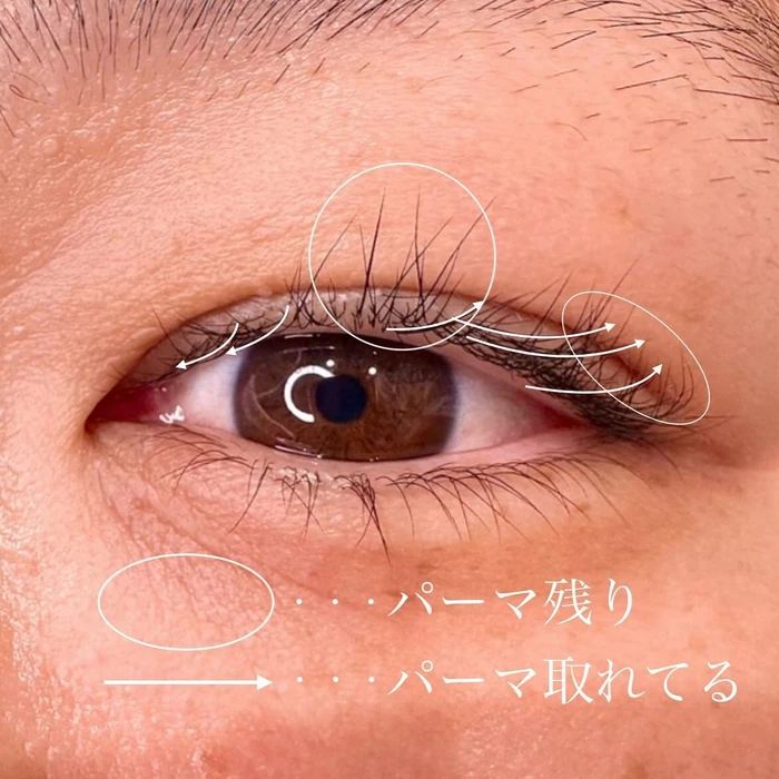 画像645